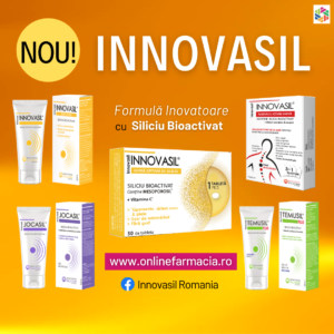 Innovasil