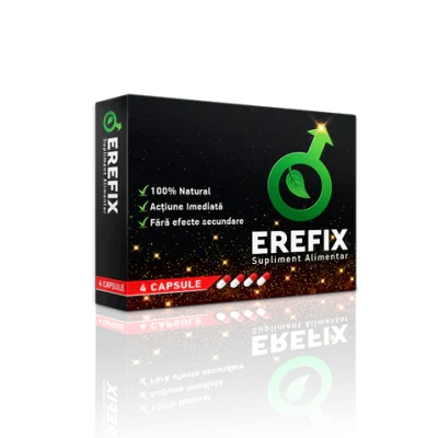 EREFIX 3D X1 s
