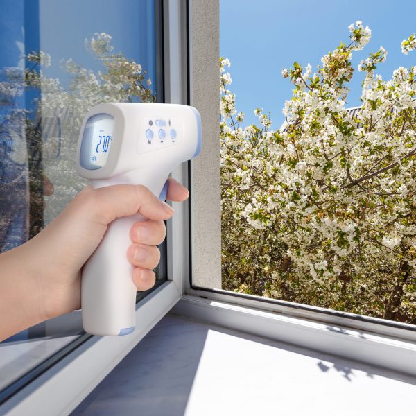 Blossom tree at sunny day. Blue sky on background