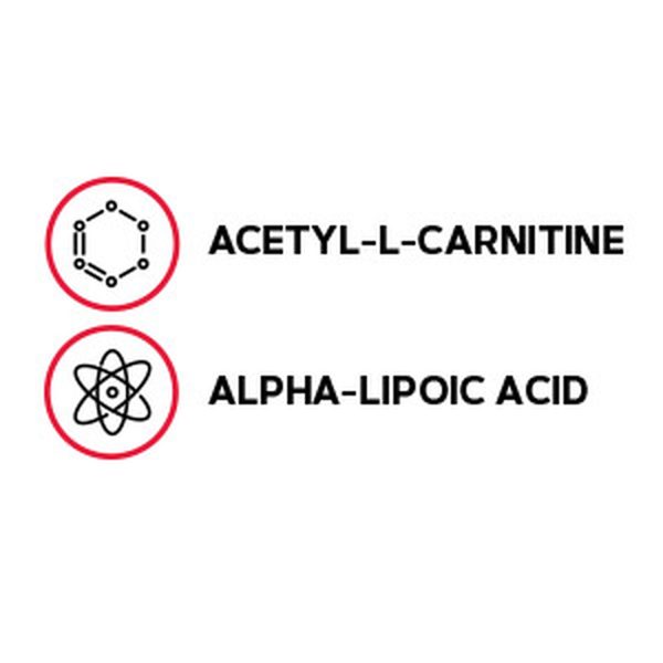 043114 gnc acetyl l carnitine alpha lipoic acid lifestyle1.jpg