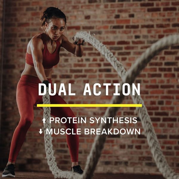 3.369846 ebc thumbnail 03 gnc beyondraw chemistrylabs lifestyle.jpg