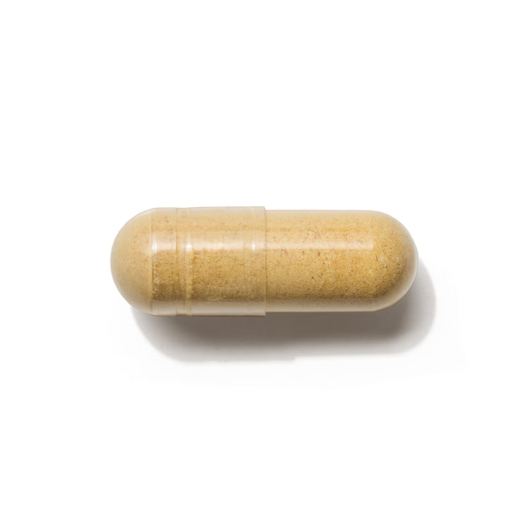 3.550371 550372 gnc herbal plus milk thistle pill.png