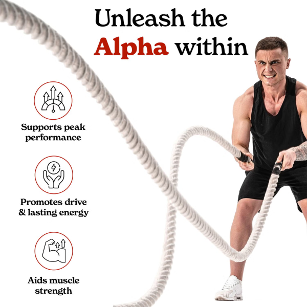 3.61109 better alt testopro 90ct alt2.png