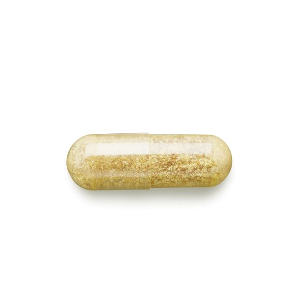 304222 web gnc tamaflex fast acting front pill.jpg