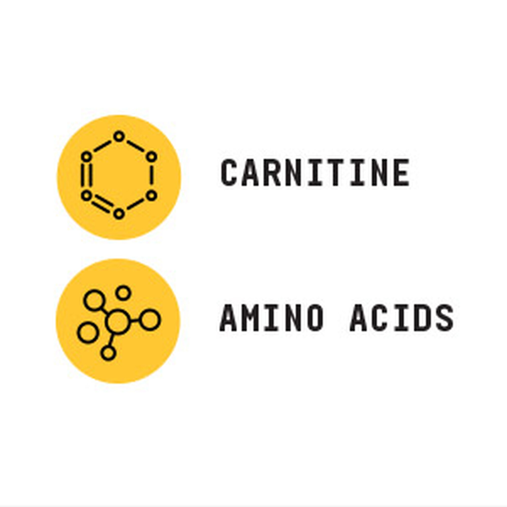 369897 beyond raw chemistry labs l carnitine lifestyle1.jpg