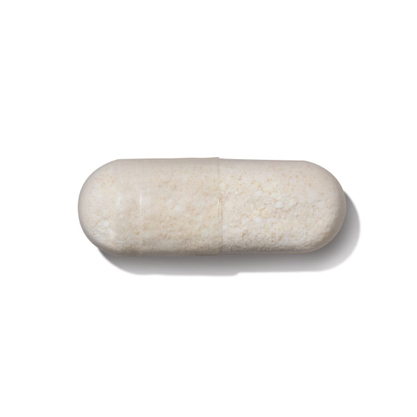 424747 gnc gut health sport probiotic pill.png