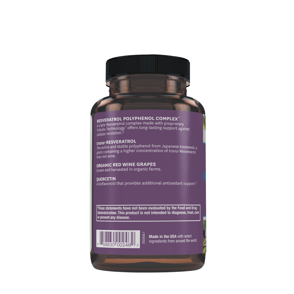 446813 resvitale resveratrol 500mg 60ct side.png
