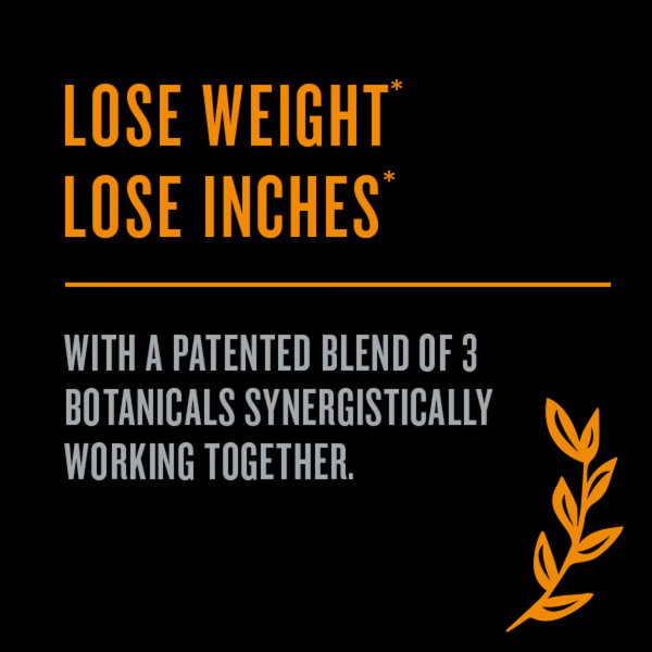 482900 3what is slimvance.png