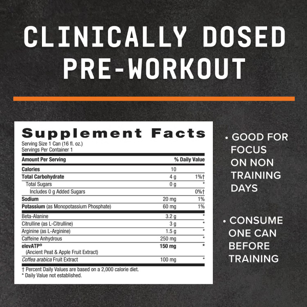 5.547702 ebc thumbnail 05 gnc beyondraw litpreworkoutrtd nutritioninformation.png