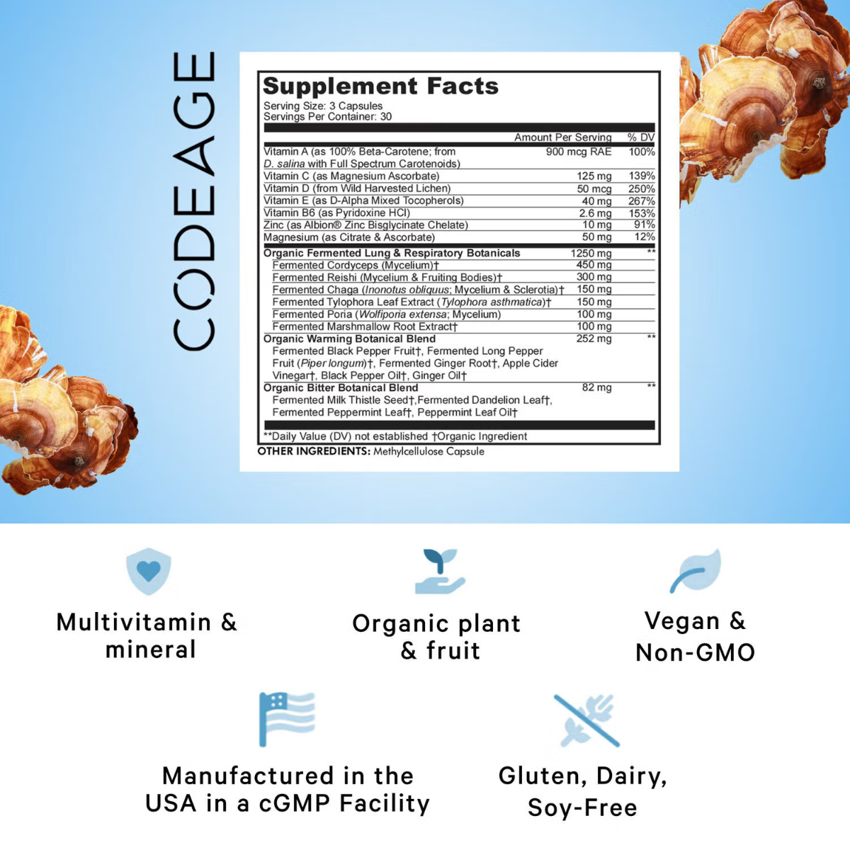 585054 web codeagee lungs alt02.png