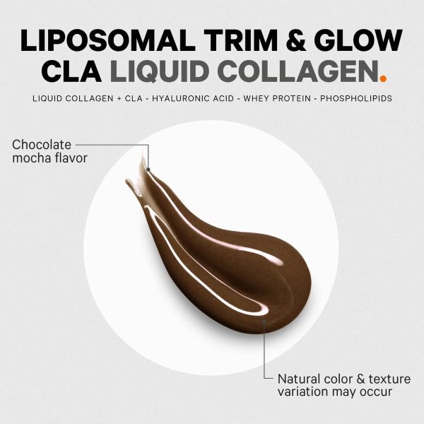 585090 web codeage nanofood lipo trim glow choc alt 7.jpg