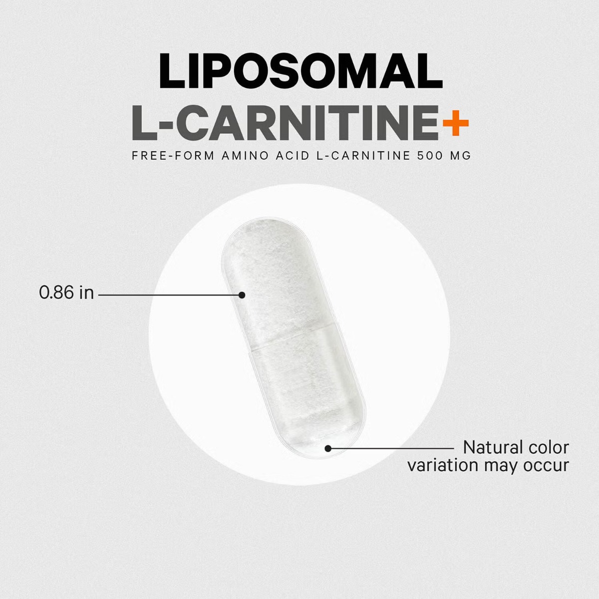585168 codeage liposomall carnitine alt8.jpg