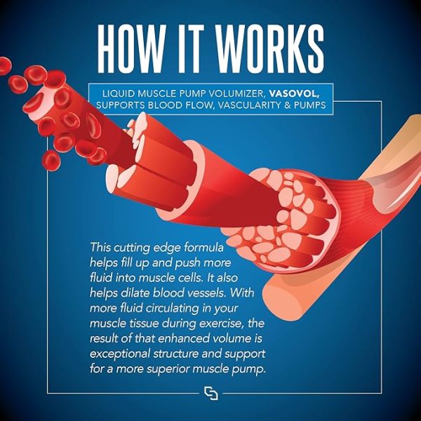 813dt788rdl. ac sx679 .jpg