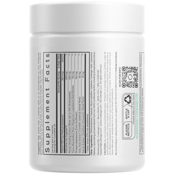 brain focus vitamins 585169 10.jpg