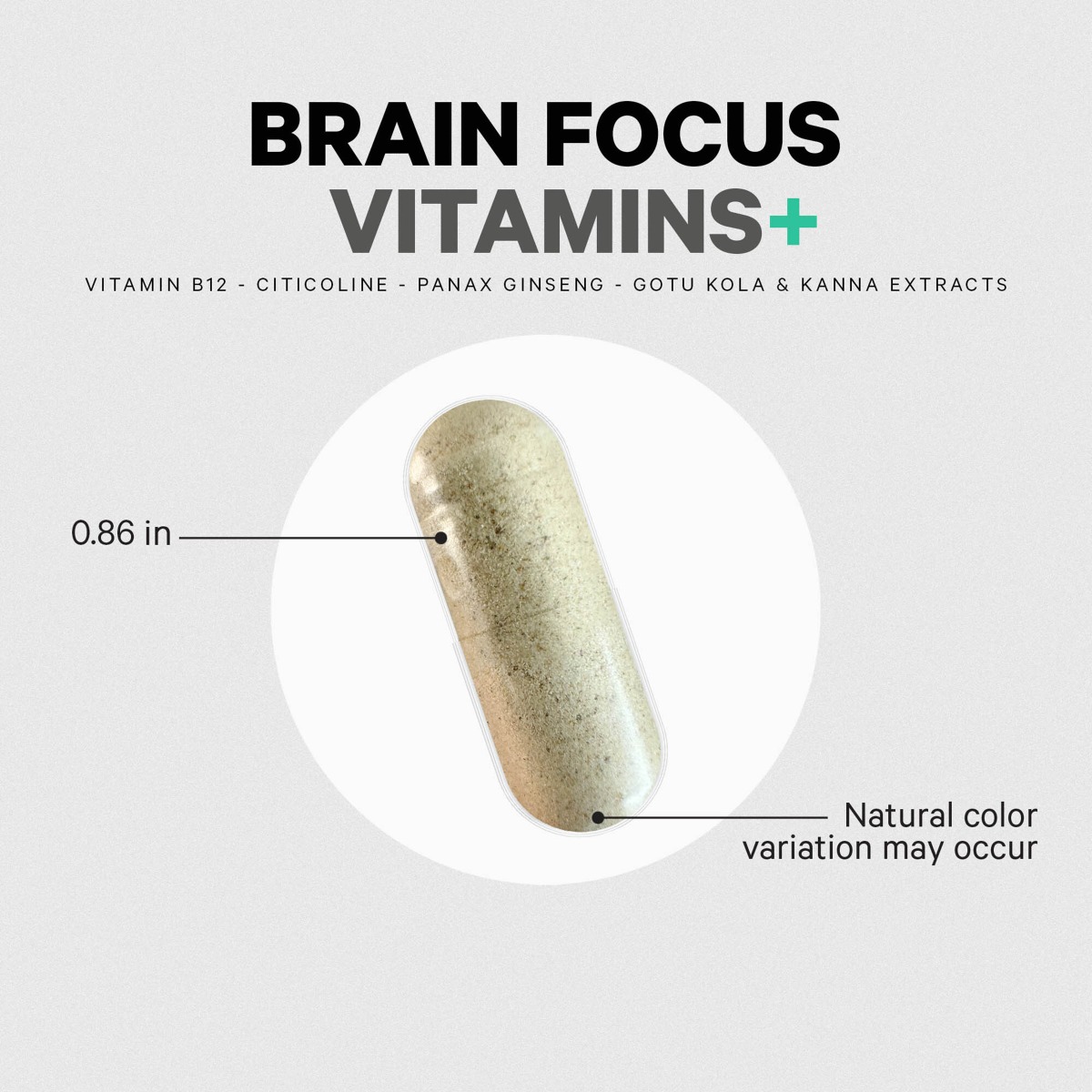 brain focus vitamins 585169 8.jpg