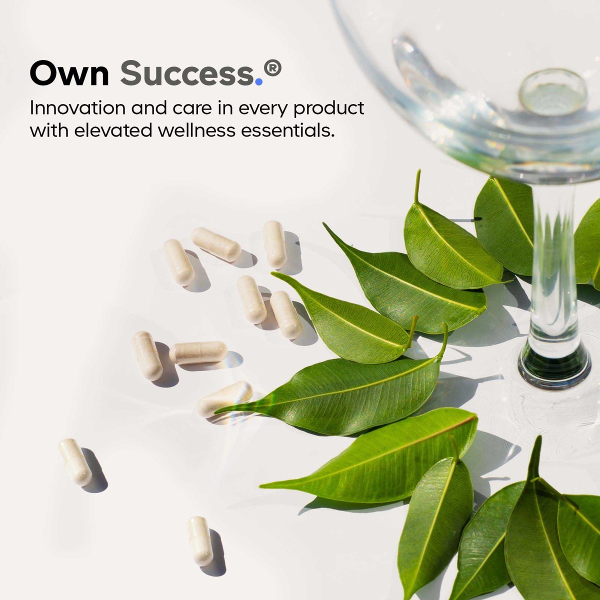 chlorophyll liquid 585075 6.jpeg