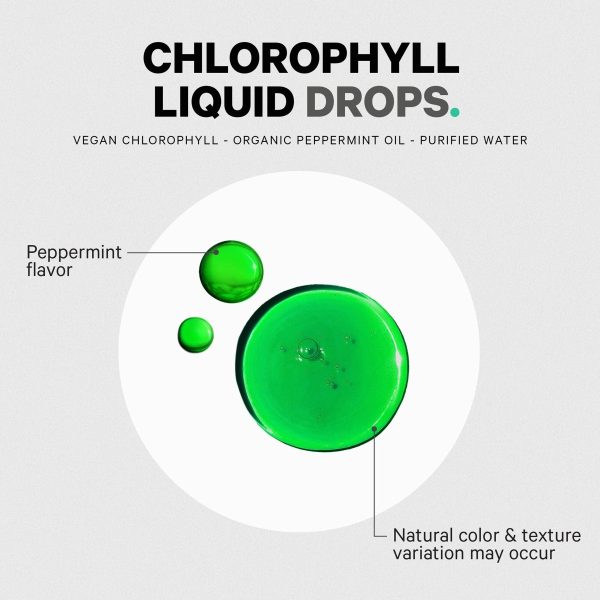 chlorophyll liquid 585075 8.jpg