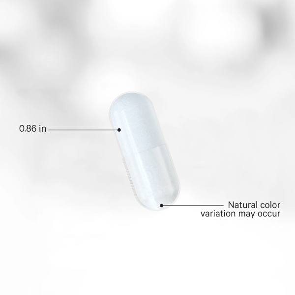 l glutamine caps sizecolor v2.png