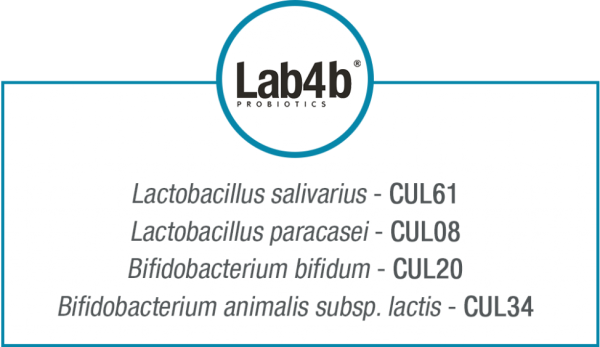 lab4 lab4b content 2048x566 1.png