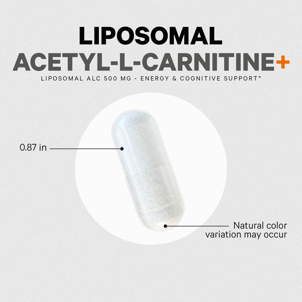 liposomal acetyl l carnitine 585108 8.jpg