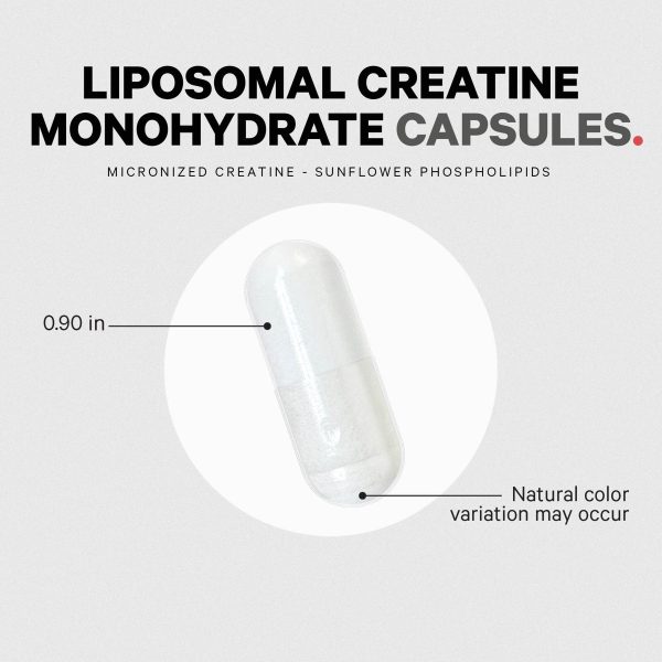 liposomal creatine capsules 585154 8.jpg