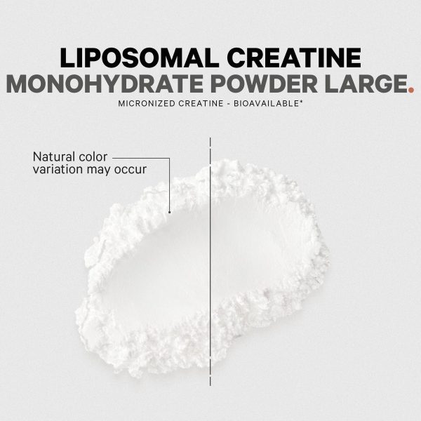 liposomal creatine monohydrate large 585062 8 1.jpg