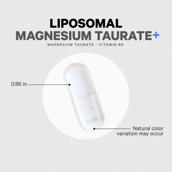 liposomal magnesium taurate 585158 8.jpg