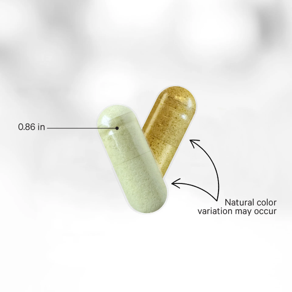 liposomalvitaminc caps sizecolor v2b.png